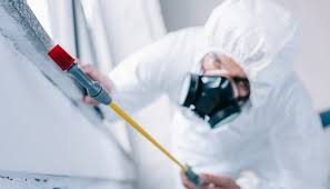 Best Fumigation Services  in Dagsboro, DE